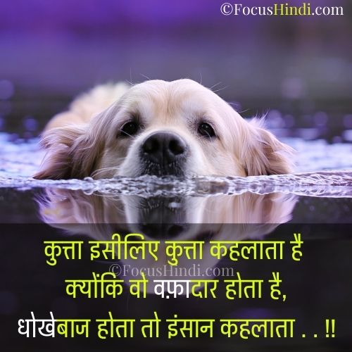 अपनों से धोखा शायरी इन हिंदी