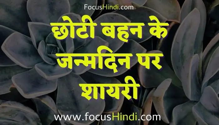 छोटी बहन के जन्मदिन पर शायरी