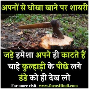 2 line Dhokha shayari