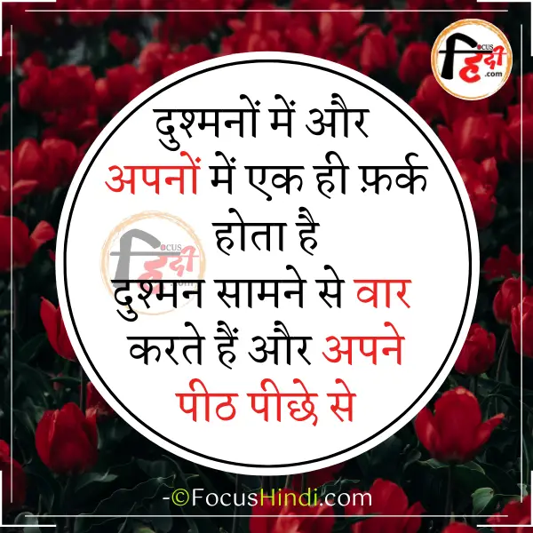 20-peeth-piche-dhoka-shayari-status-quote